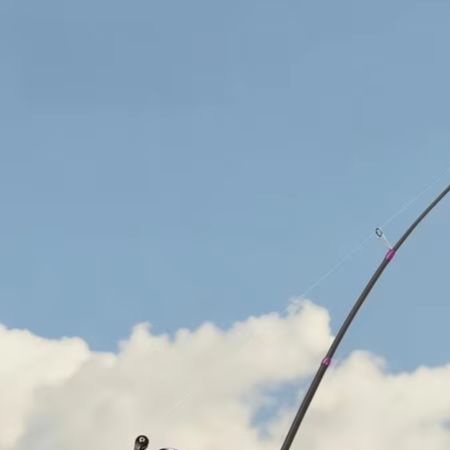 Vara de Pesca Dedicada para BF - Fishing Rod Carbon Fiber avaliação e preço